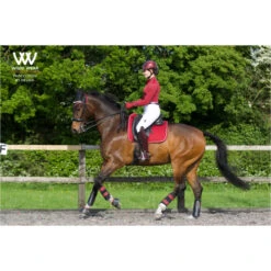 Woof Wear Dressage Saddle Cloth - Shiraz Colour Shiraz -Ariat Shop 1789 Shiraz201.700x700