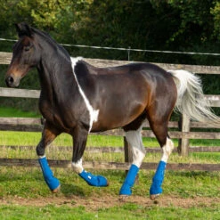 2022 Equilibrium Equi-Chaps Close Contact Chaps EQB1200 - Navy / Yellow -Ariat Shop 1847 202220Equilibrium20Equi Chaps20Close20Contact20Chaps20EQB120020 20Navy20Yellow20Lifestyle202.700x700