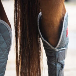 2022 Equilibrium Hind & Hock Magnetic Chaps EQB1186 - Grey -Ariat Shop 1852 202220Equilibrium20Hind2020Hock20Magnetic20Chaps20EQB118620 20Grey20Close20Up201.700x700