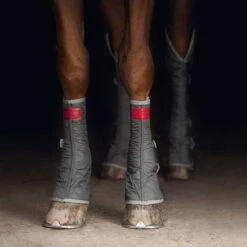 2022 Equilibrium Hind & Hock Magnetic Chaps EQB1186 - Grey -Ariat Shop 1852 202220Equilibrium20Hind2020Hock20Magnetic20Chaps20EQB118620 20Grey20Close20Up203.700x700