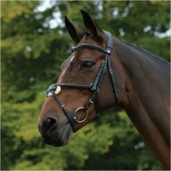 2022 Collegiate Comfitec Grackle Bridle 100637700 - Black Colour Black