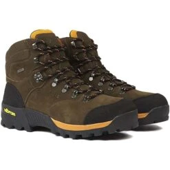 2022 Aigle Mens Altavio Mid GTX Walking Shoe P89756 - Sepia