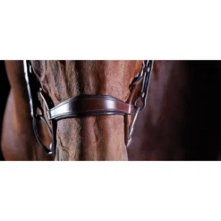 2022 Collegiate Comfitec Crystal Bridle 8077 - Brown -Ariat Shop 202220Collegiate20Comfitec20Crystal20Bridle20807720 20Brown20Close20Up202.700x700