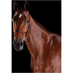 2022 Collegiate Comfitec Crystal Bridle 8077 - Brown