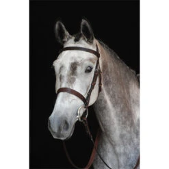 2022 Collegiate Hunt Cavesson Bridle IV 800800 - Brown Colour Brown