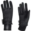 2022 Dublin Synthetic Leather Thinsulate Waterproof Gloves 10070900 - Black