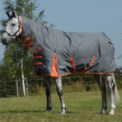 2022 Weatherbeeta Comfitec Classic Combo Neck Medium Turnout Rug 1000423 - Gunmetal / Coral Colour Gunmetal/Coral