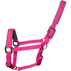 2022 Woof Wear Full Size Contour Head Collar WS0022-BERY-FS - Berry