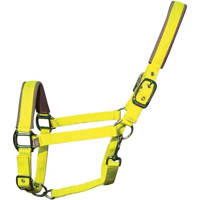 2022 Woof Wear Full Size Contour Head Collar WS0022-YELL-FS - Yellow 1 2022 Woof Wear Full Size Contour Head Collar WS0022-YELL-FS - Yellow