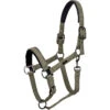 2023 HV Polo Francis Headcollar 1601093450 - Dark Oil Green