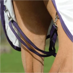 2023 Weatherbeeta Comfitec Essential Mesh II Combo Neck Fly Rug 1000441166 - White / Maroon / Grey Colour Grey/White/Maroon -Ariat Shop 202320Weatherbeeta20Comfitec20Essential20Mesh20II20Combo20Neck20100044116620 20WhiteMarron2020Grey20close203.700x700