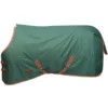2023 Weatherbeeta Comfitec Tyro Combo Neck Medium Turnout Rug 1021798 - Green / Burnt Orange / White