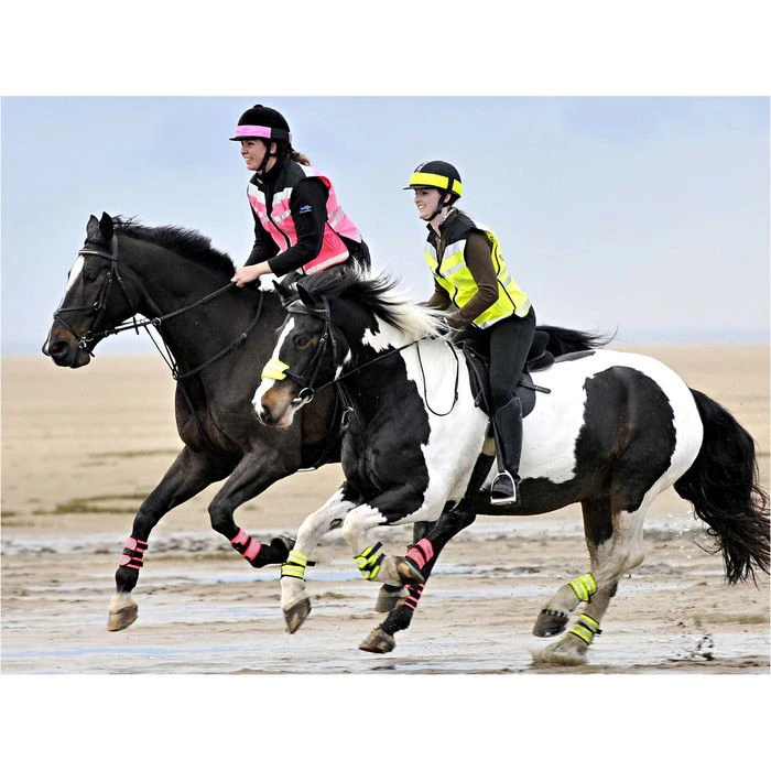 2022 Equisafety Horse Riding Hi-Vis WaistCoat HIT- Pink 3 2022 Equisafety Horse Riding Hi-Vis WaistCoat HIT- Pink - Image 3