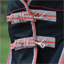 2022 Weatherbeeta Comfitec Premier & Therapy-Tec Medium Detach-A-Neck Turnout Rug - Black / Red -Ariat Shop 2217 202220Weatherbeeta20Comfitec20Premier20With20Therapy Tec20Medium20Detach A Neck20Rug20100161401020 20Black2020Silver2020Red3.700x700