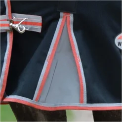 2022 Weatherbeeta Comfitec Premier & Therapy-Tec Medium Detach-A-Neck Turnout Rug - Black / Red -Ariat Shop 2217 202220Weatherbeeta20Comfitec20Premier20With20Therapy Tec20Medium20Detach A Neck20Rug20100161401020 20Black2020Silver2020Red4.700x700
