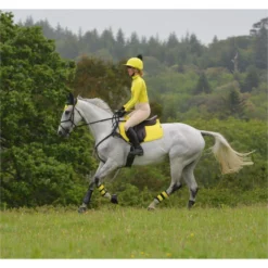 2022 Woof Wear Performance Riding Shirt WA0001 - Sunshine Yellow Colour Sunshine Yellow -Ariat Shop 2861 DSC 0857.700x700