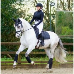 2022 Woof Wear Vision Fly Veil WS0012 - Black Colour Black -Ariat Shop 2863 Vision20Black2017.700x700