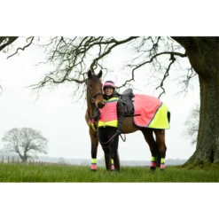 2022 Equisafety Charlotte Dujardin Hi Vis Multi Coloured Horse Sheet CD-MCQWS - Pink / Yellow -Ariat Shop 3127 Equisafety Jan22 144201201.700x700