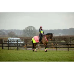 2022 Equisafety Charlotte Dujardin Hi Vis Multi Coloured Horse Sheet CD-MCQWS - Pink / Yellow -Ariat Shop 3127 Equisafety Jan22 152201.700x700