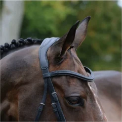 2021 Collegiate Comfitec Vogue Anatomical Bridle 100637600 - Black Colour Black -Ariat Shop 3436 202120Collegiate20Comfitec20Vogue20Anatomical20Bridle2010063760020 20Black20detail.700x700