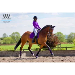 2022 Woof Wear Performance Riding Shirt WA0001 - Ultra Violet Colour Ultra Violet -Ariat Shop 3747 Ultra20Violet204.700x700