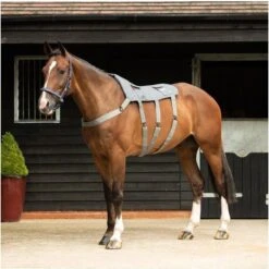 Ariat Shop -Ariat Shop 4103 202220Equilibrium20Massage20Pad20811720 20Grey20worn.700x700