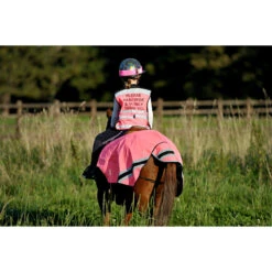 2022 Equisafety Child Hi-Vis Waistcoat CHPPWS - Pink -Ariat Shop 4496 D7A 6701.700x700