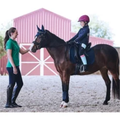 2022 Dublin Womens Lily Cap Sleeve Polo Top 1000385 - Emerald Colour Emerald -Ariat Shop 4953 c4c90d83063c3b77ce2c86cd24bbffac.700x700