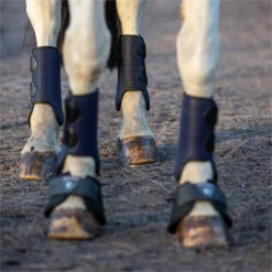 2022 Equilibrium Tri-Zone All Sports Boots EQB16 - Navy -Ariat Shop 5586 202220Equilibrium20Tri Zone20All20Sports20Boots20EQB1620 20Navy20Lifestyle201.700x700