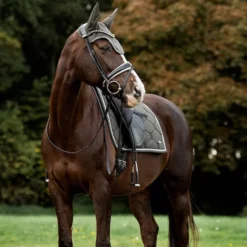 2022 PS Of Sweden Signature Dressage Cotton Saddle Pad 1110-022 - Forest Green -Ariat Shop 5637 202220PS20Of20Sweden20Signature20Dressage20Cotton20Saddle20Pad201110 02220 2020Forest20Green20Lifestyle203.700x700