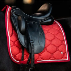 2022 PS Of Sweden Stardust Glitter Dressage Saddle Pad 20073-720 - Red -Ariat Shop 5671 202220PS20Of20Sweden20Stardust20Glitter20Dressage20Saddle20Pad2020073 72020 20Red20Lifestyle202.700x700