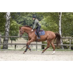 2023 Ariat Womens Breathe Eos Half Grip Recycled Materials Tights 10043401 - Black Colour Black -Ariat Shop 5891 breathe202.700x700