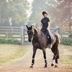 2023 Weatherbeeta Womens Sutton Short Sleeve Top 10183910- Pewter 9 2023 Weatherbeeta Womens Sutton Short Sleeve Top 10183910- Pewter -Ariat Shop 5973 1b92268bfc4a04fab939984e4e84c060.700x700