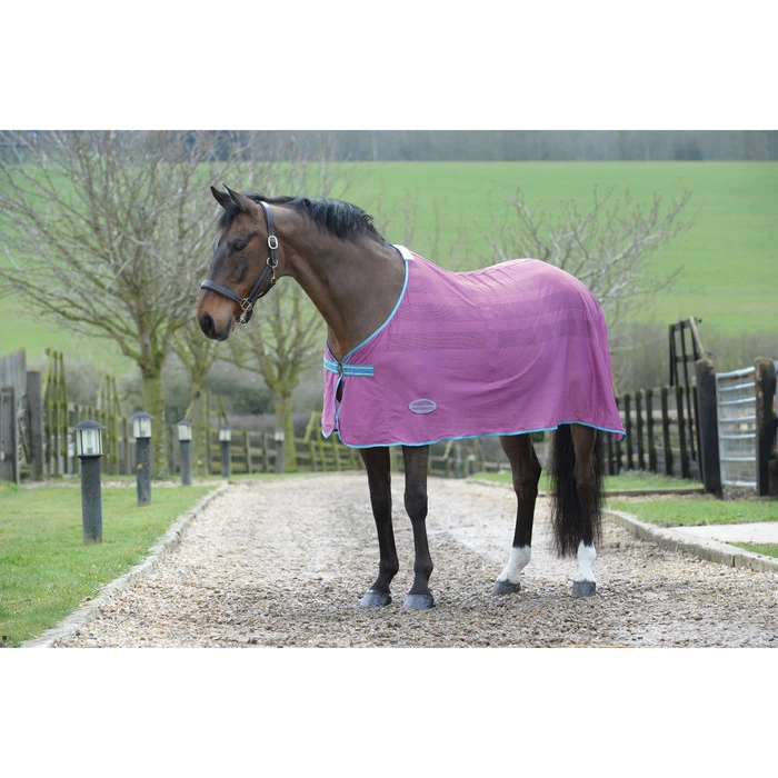 2023 Weatherbeeta Scrim Cooler Standard Neck 1001896046 - Violet / Blue 2 2023 Weatherbeeta Scrim Cooler Standard Neck 1001896046 - Violet / Blue - Image 2