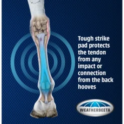 2023 Weatherbeeta Eventing Front Boots 8076 - Black -Ariat Shop 6030 WB20Cross20Country20FR20Boots Graphic.700x700