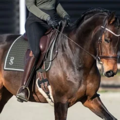 2023 PS Of Sweden Elite Dressage Saddle Pad 1110038665 - Dark Green -Ariat Shop 6074 202320PS20of20Sweden20Elite20Dressage20Saddle20Pad20111003866520 20Dark20Green20Lifestyle.700x700