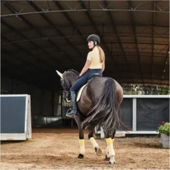 2023 Dublin Womens Kylee Short Sleeve Shirt II 10055250 - Butter Colour Butter -Ariat Shop 6112 9f83be1f911b2aa3b979a8569c535749.700x700