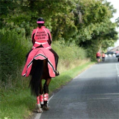 2023 Equisafety Hi-Vis Waterproof Wrap Around Exercise Rug WRUG - Pink -Ariat Shop 6120 202320Equisafety20Hi Vis20Waterproof20Wrap20Around20Exercise20Rug20WRUG20 20Pink 20Lifestyle.700x700