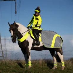 2023 Equisafety Mercury Reflective Exercise Rug MRUG-RO - Yellow Colour Yellow -Ariat Shop 6122 202320Equisafety20Mercury20Reflective20Exercise20Rug20MRUG RO20 20Yellow 20Lifestyle202.700x700