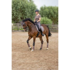 2023 HV Polo Jenna Dressage Saddle Pad 802093502 - Espresso Colour Espresso -Ariat Shop 6152 203A6760.700x700