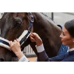 2023 Eskadron Double Pin Matt Gloss Evo-Wool Headcollar 420831 838 - Navy -Ariat Shop 6288 esk 0123 kam 420831 838 380 add1.700x700
