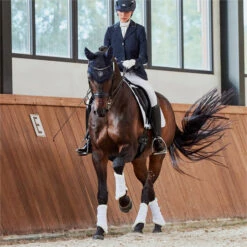 2023 Eskadron Mesh Evo-Wool Tendon Boots 555131 663 - White -Ariat Shop 6292 632620Lifestyle202.700x700