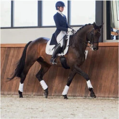 2023 Eskadron Highgloss Peacock Saddle Cloth & Round Bridle Number Holder Bundle PSNH23 - White 14 2023 Eskadron Highgloss Peacock Saddle Cloth & Round Bridle Number Holder Bundle PSNH23 - White -Ariat Shop 6323 6273 202320Eskadron20Highgloss20Peacock20Saddle20Cloth202147312054420 20White20Lifestyle203.2000x2000.700x700