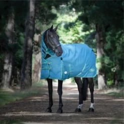 2023 Weatherbeeta Green-Tec 1200D Detach-A-Neck Lite Plus Turnout Rug - Dragonfly Blue / Bottle Green -Ariat Shop 6379 202320Weatherbeeta20Green Tec201200D20Detach A Neck20Lite20Plus20Turnout20Rug20 20Dragonfly20Blue202.700x700