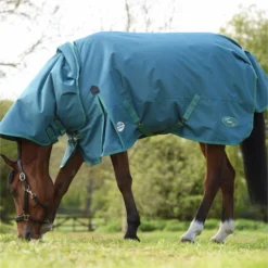 2023 Weatherbeeta Green-Tec 1200D Detach-A-Neck Lite Plus Turnout Rug - Dragonfly Blue / Bottle Green -Ariat Shop 6379 202320Weatherbeeta20Green Tec201200D20Detach A Neck20Lite20Plus20Turnout20Rug20 20Dragonfly20Blue203.700x700
