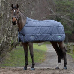 2023 Weatherbeeta Green-Tec Standard Neck Medium / Lite Stable Liner 1021797 - Grey -Ariat Shop 6381 202320Weatherbeeta20Green Tec20Standard20Neck20Medium2020Lite20Stable20Liner20102179720 20Grey20204.700x700