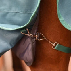 2023 Weatherbeeta Green-Tec Standard Neck Medium / Lite Stable Liner 1021797 - Grey -Ariat Shop 6381 202320Weatherbeeta20Green Tec20Standard20Neck20Medium2020Lite20Stable20Liner20102179720 20Grey20206.700x700