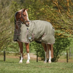 2023 Weatherbeeta Comfitec Essential Combo Neck Medium Turnout Rug 10004151 - Olive Green / Burgundy / White Colour Olive Green / Burgundy / White 5 2023 Weatherbeeta Comfitec Essential Combo Neck Medium Turnout Rug 10004151 - Olive Green / Burgundy / White Colour Olive Green / Burgundy / White -Ariat Shop 6385 202320Weatherbeeta20Comfitec20Essential20Combo20Neck20Medium20Turnout20Rug201000415120 20Olive20Green2020Burgundy2020White202.700x700