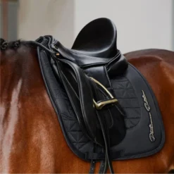 2023 Eskadron Platinum Sparkle Avantgarde Saddle Cloth 225039534290 - Black -Ariat Shop 6477 202320Eskadron20Platinum20Sparkle20Avantgarde20Saddle20Cloth2022503953429020 20Black2020Lifestyle201.700x700