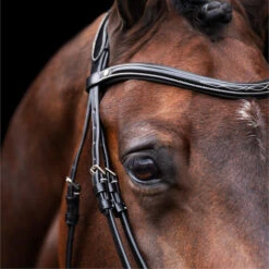 2023 HV Polo Legacy Bridle 1201093500 - Black Colour Black -Ariat Shop 6920 202320HV20Polo20Legacy20Bridle20120109350020 20Black203.700x700